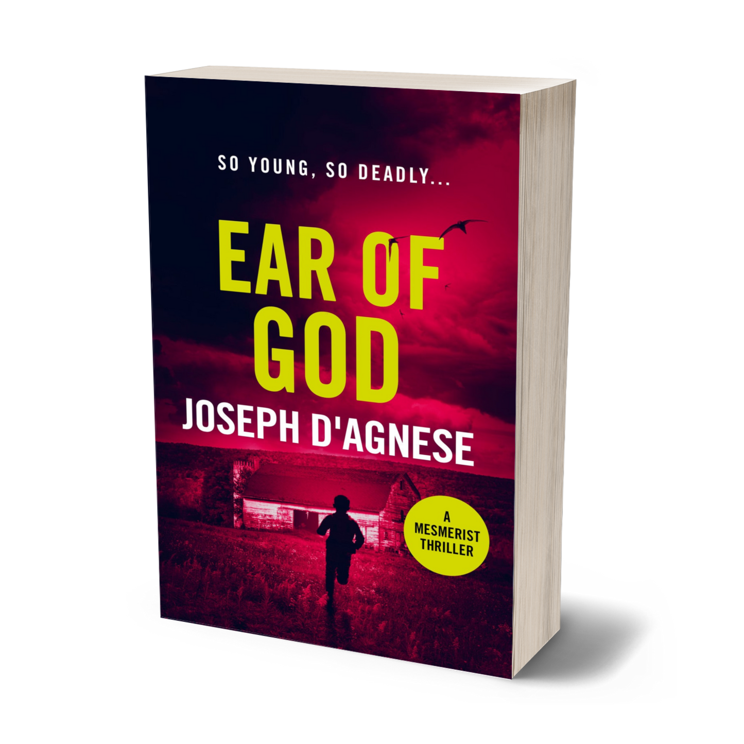 Ear of God book cover by Joseph D'Agnese, featuring a young boy running toward a ramshackle barn under an ominous night sky filled with dark birds, set against a blood-red backdrop, symbolizing a high-stakes paranormal thriller with a child in peril.