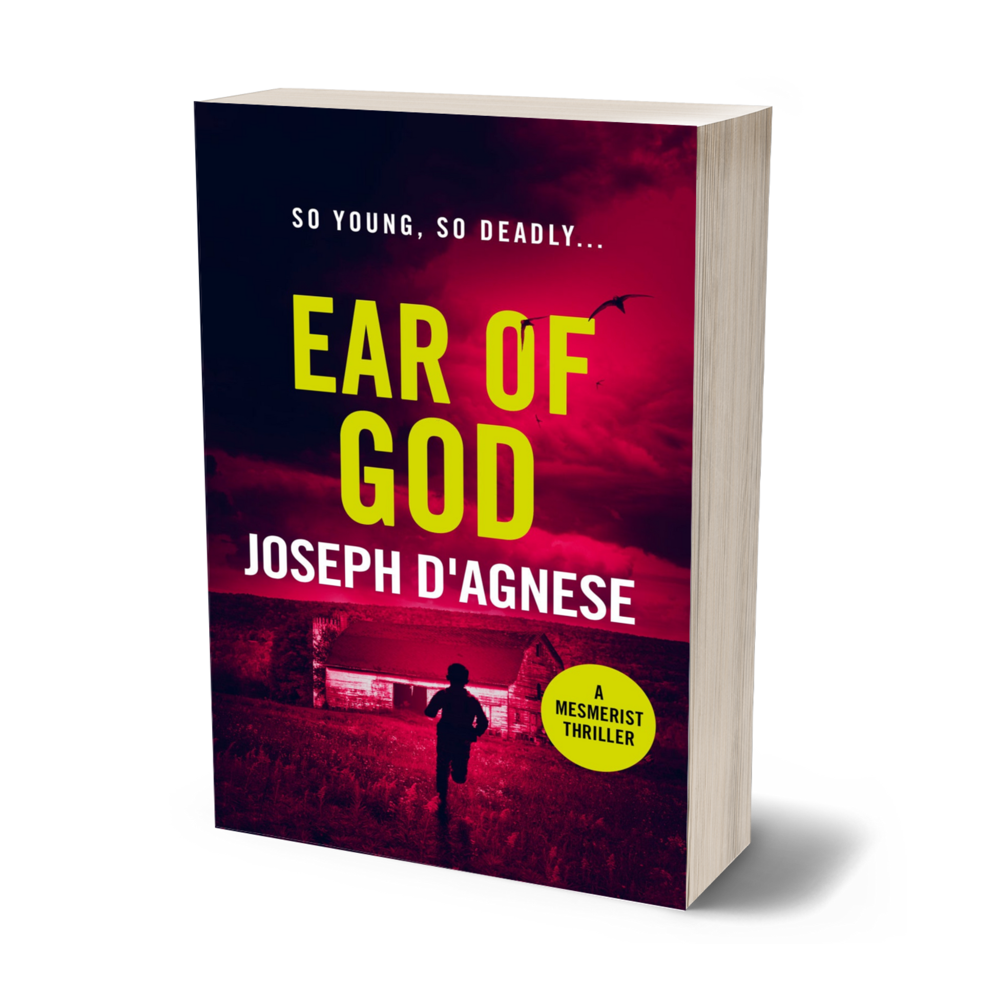 Ear of God book cover by Joseph D'Agnese, featuring a young boy running toward a ramshackle barn under an ominous night sky filled with dark birds, set against a blood-red backdrop, symbolizing a high-stakes paranormal thriller with a child in peril.